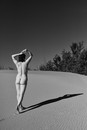 Desert Rose