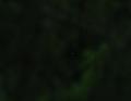 tc3.jpg