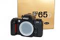nikon_f-65d.jpg
