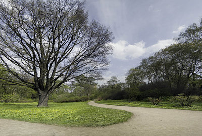 CRW_0640.jpg