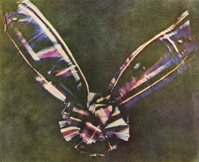 01-ColorPhoto.jpg