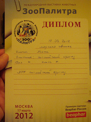Диплом.jpg