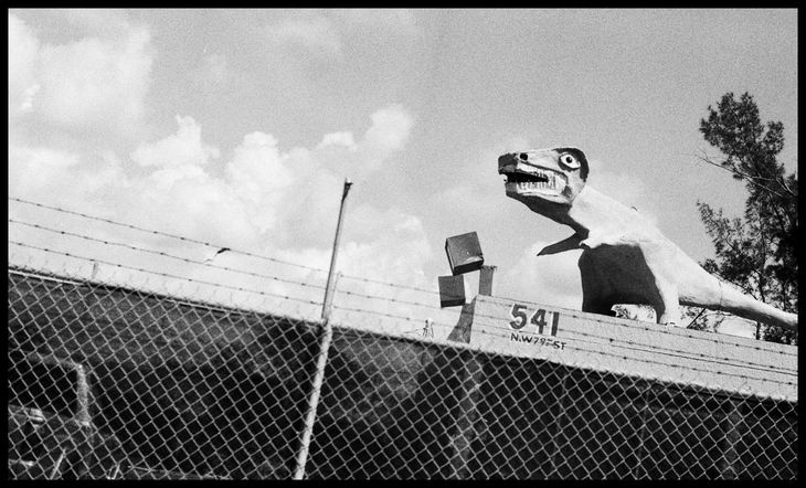 Photography on PhotoLine