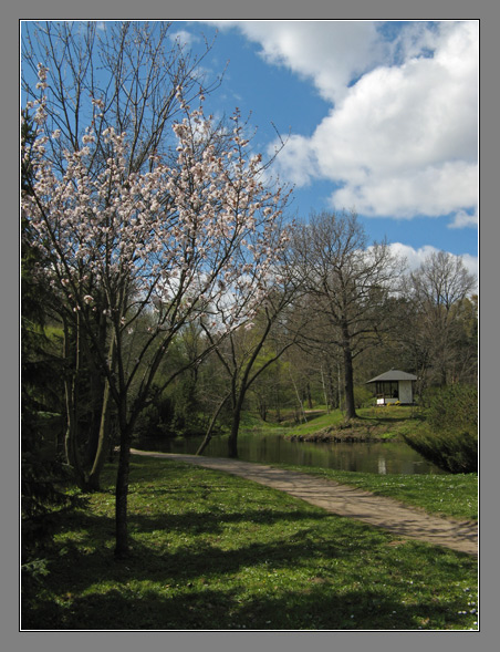 Photography on PhotoLine