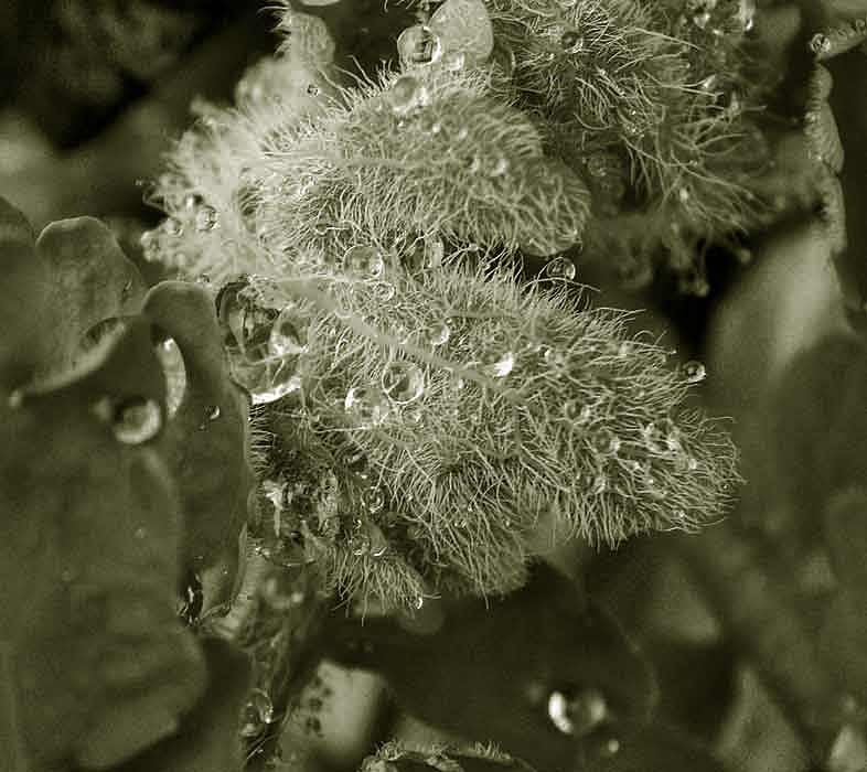 Photography on PhotoLine