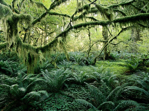 Vancouver Island, British Columbia. 