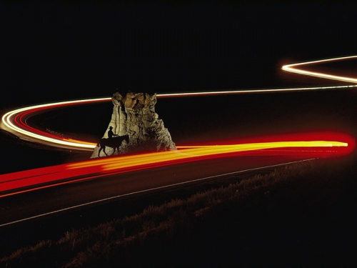 Cowboy and Cars, Badlands.