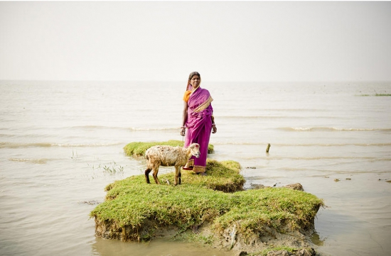 Daesung Lee. On the shore of a vanishing island.