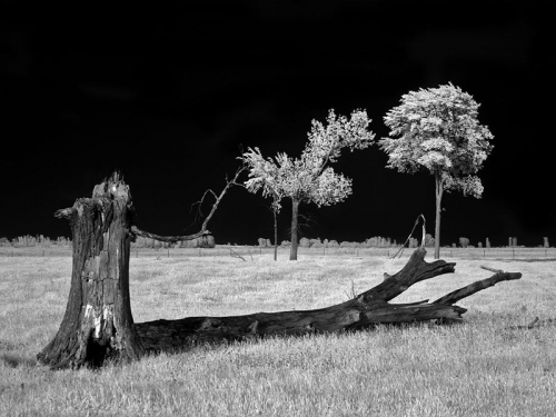 Buena Vista Grasslands, Wisconsin.