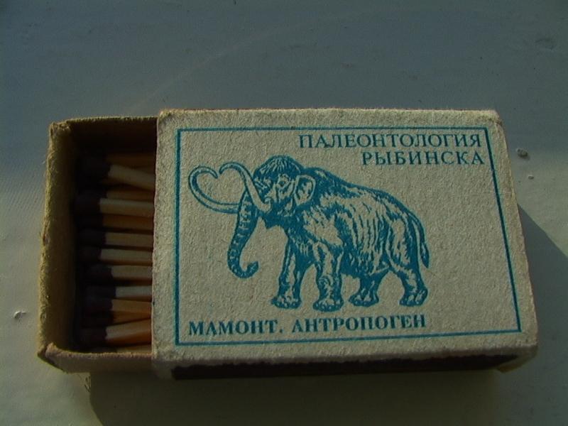  Macro Mamont