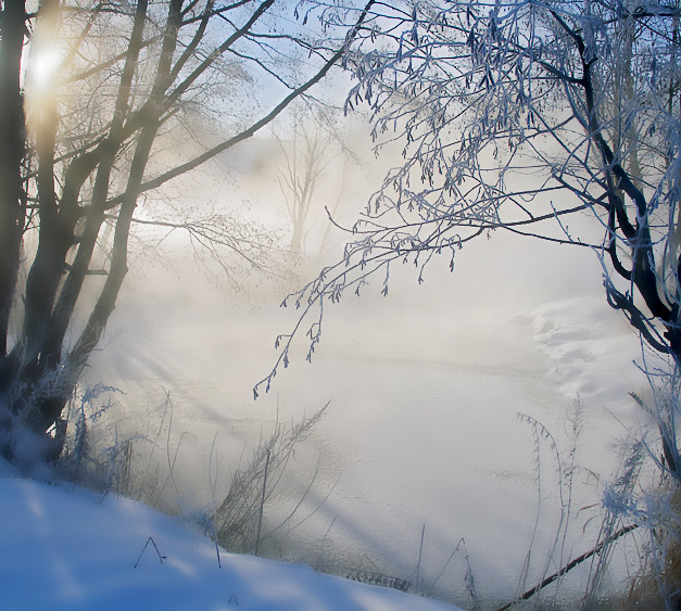  http://www.photoline.ru/photo/1198523195