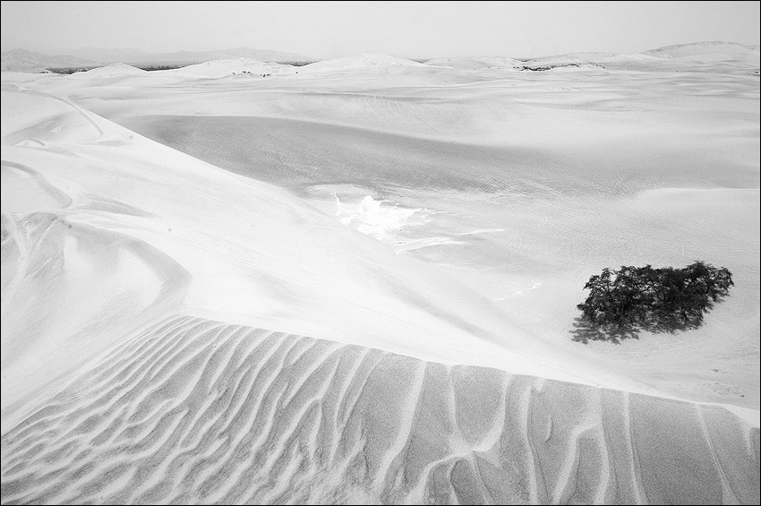  bw nasca 