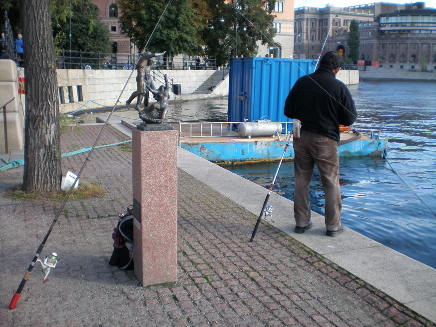  nu-nu1
