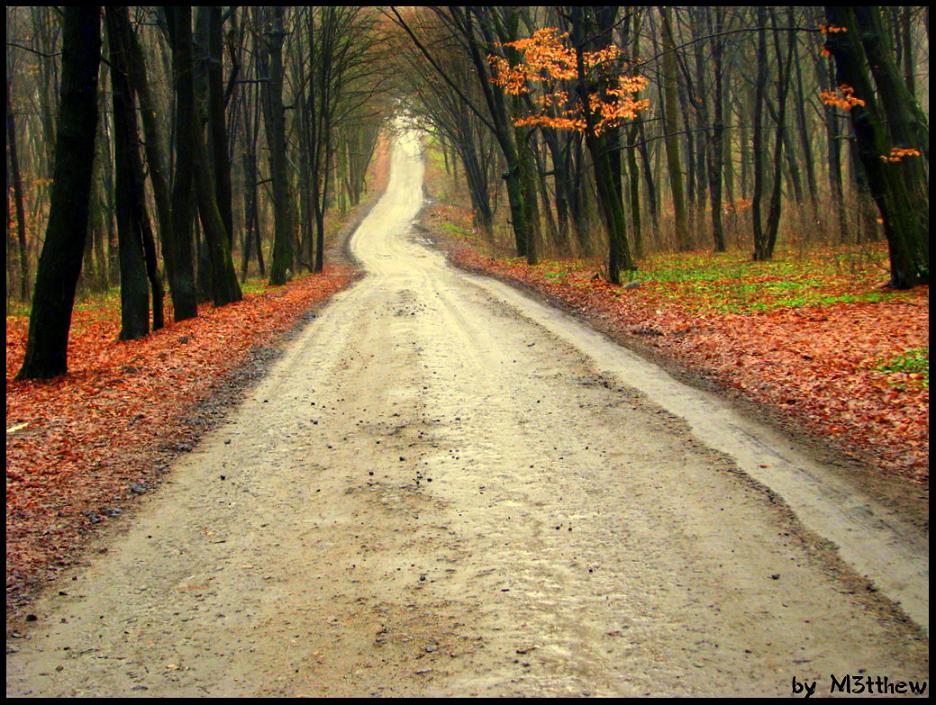  road