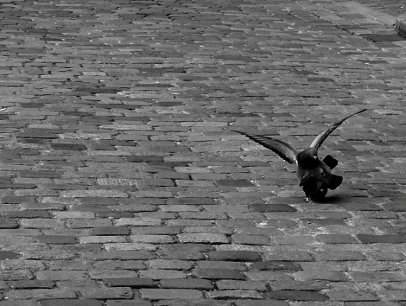  sex in the city