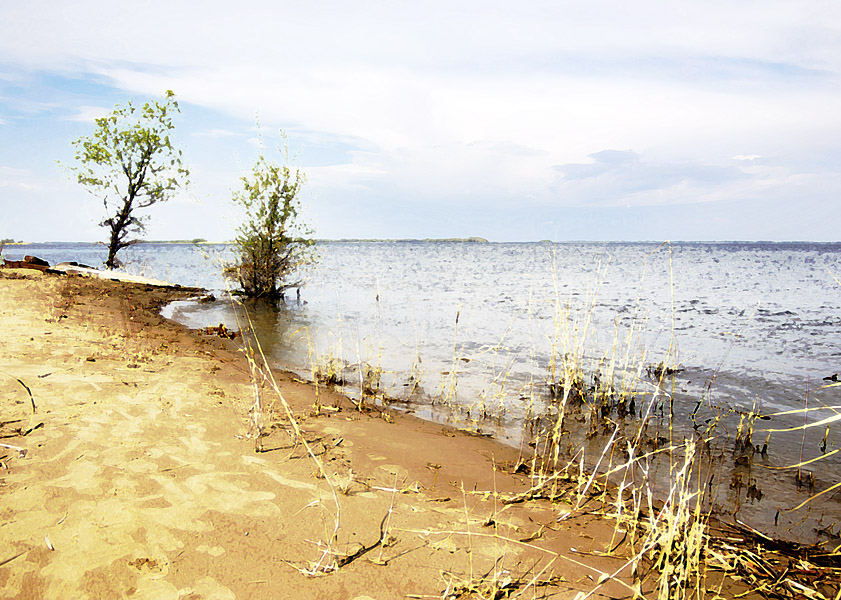  Las orillas.