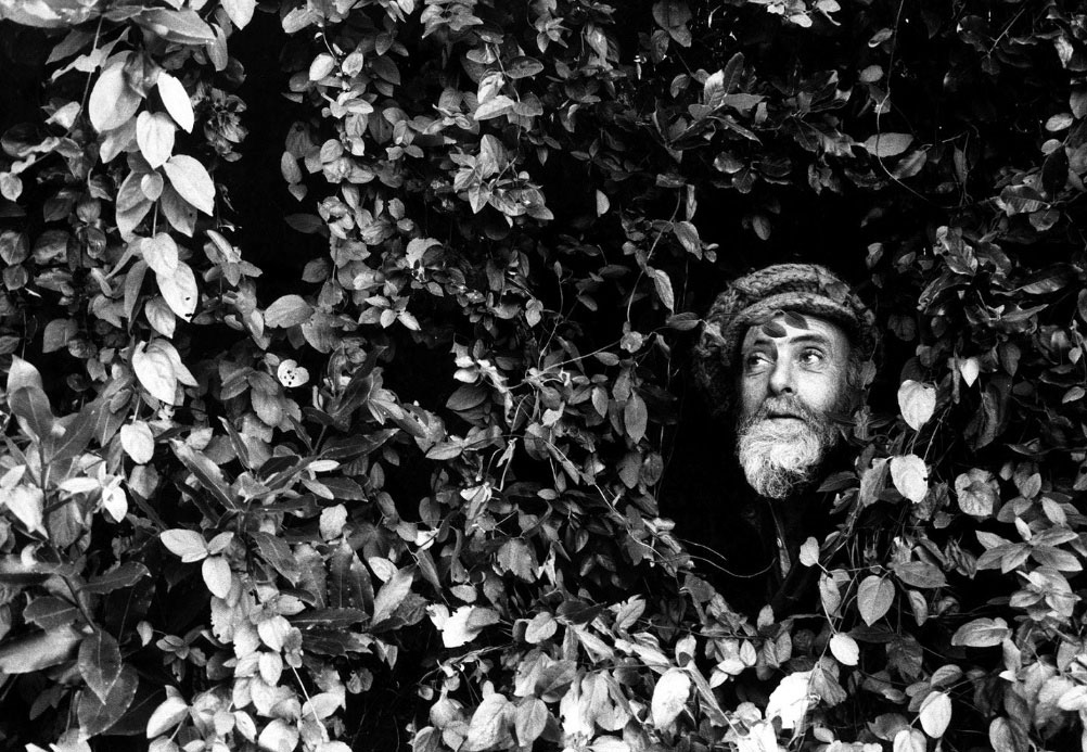 Robert Lebeck –– Friedrich Hundertwasser, 1983