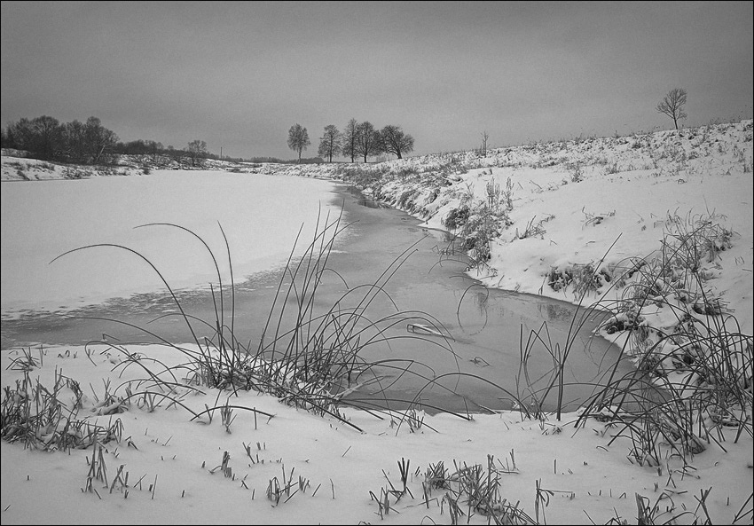   http://www.photoline.ru/photo/1292250289?rzd=new