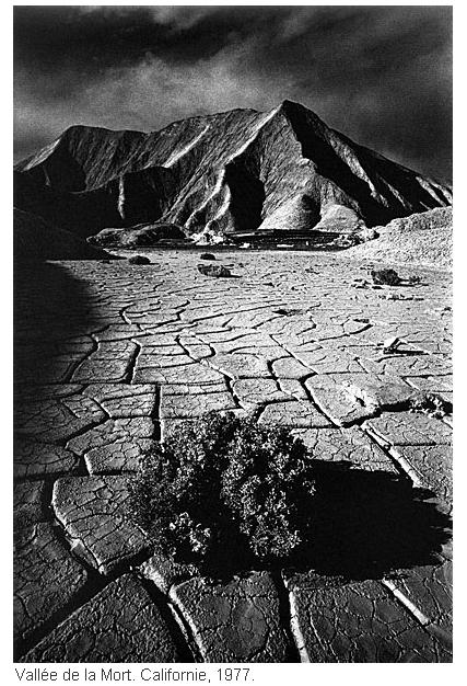  Jeanloup Sieff