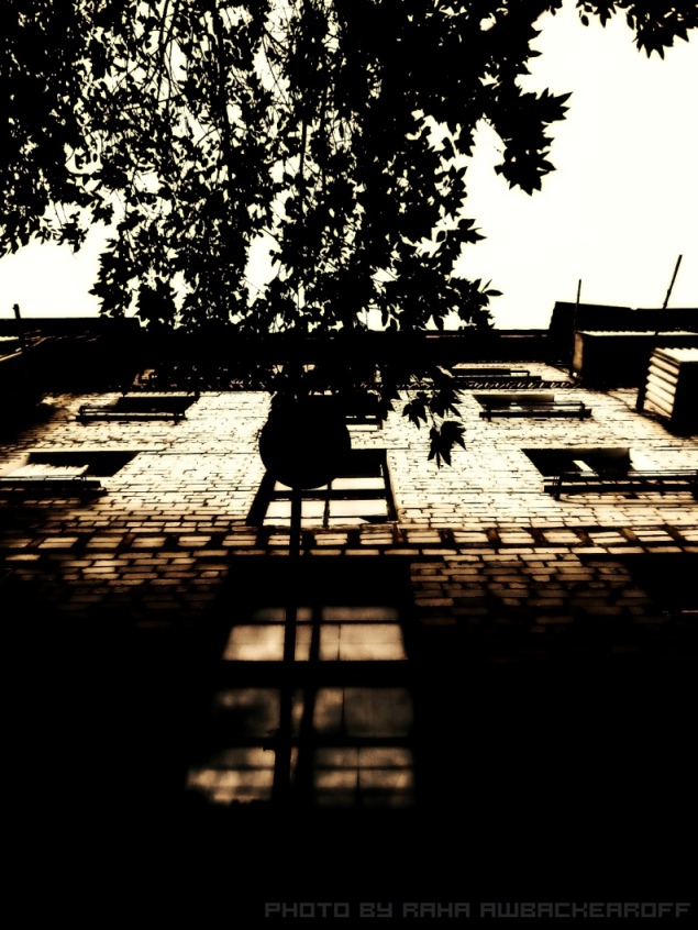  img house