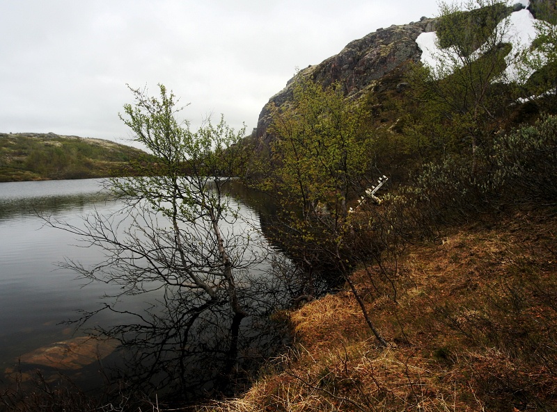 IMG 0361-0