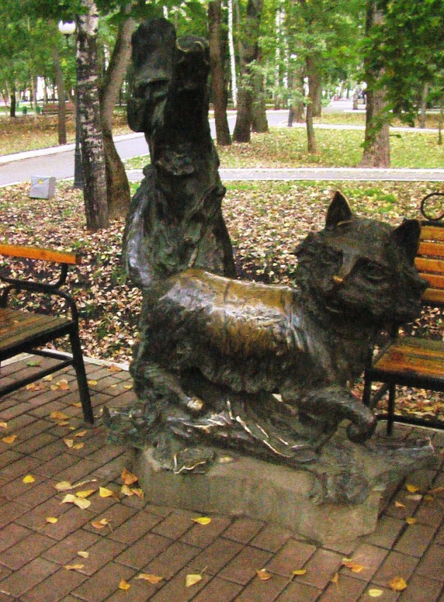  IMGA0799.JPG