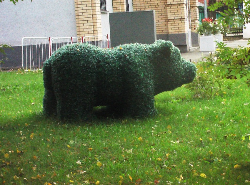  IMGA0809.JPG