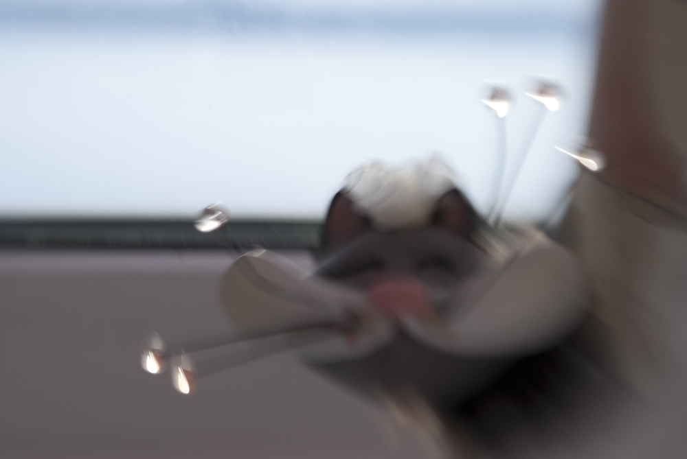  ,  