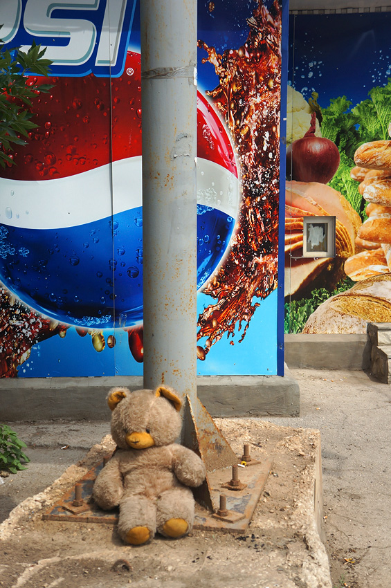  :  pepsi-bear