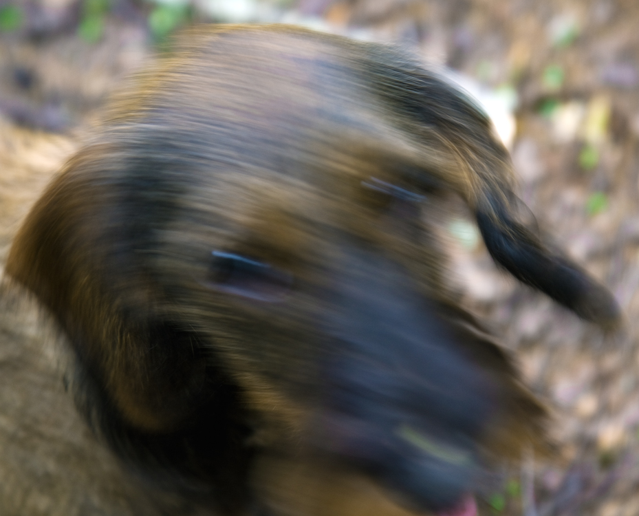       !