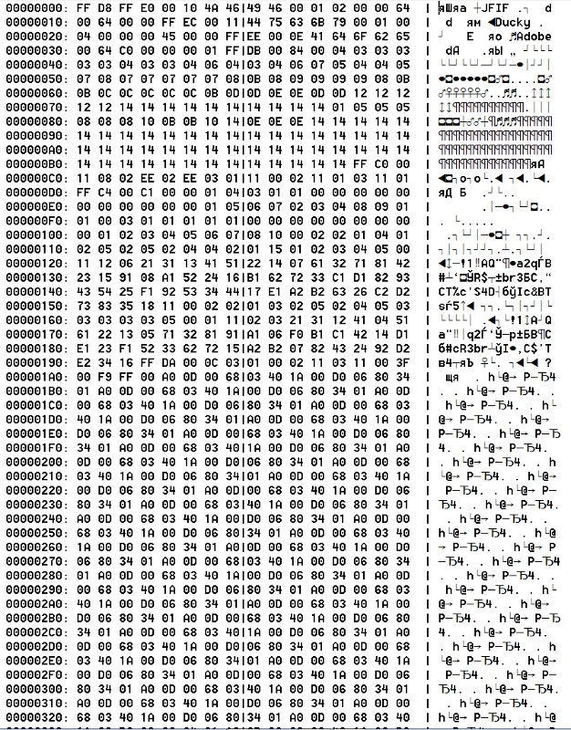  text