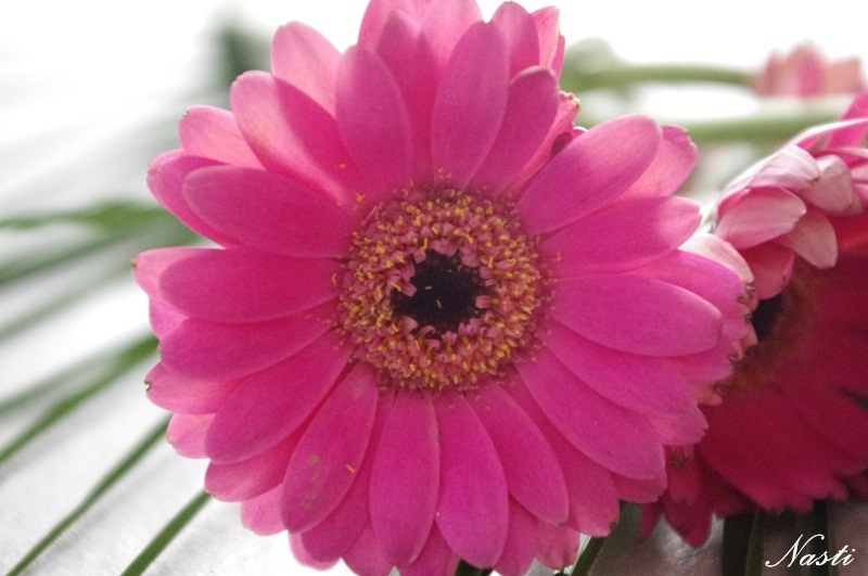  Be happy for this moment - this moment is your life