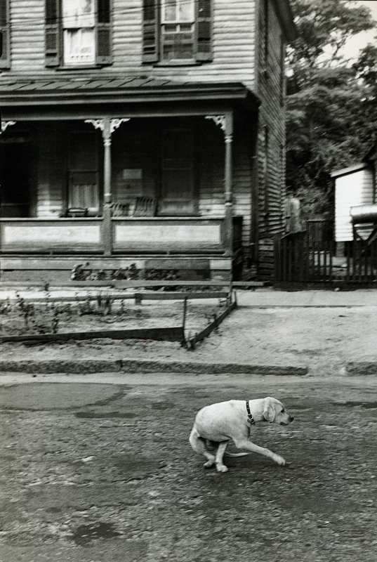  Elliott Erwitt