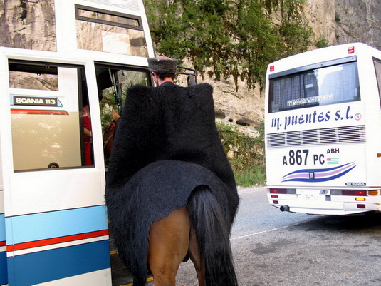Приколы про Абхазию