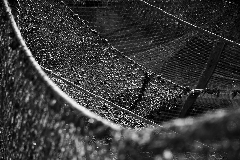  [s.e.t.i.]