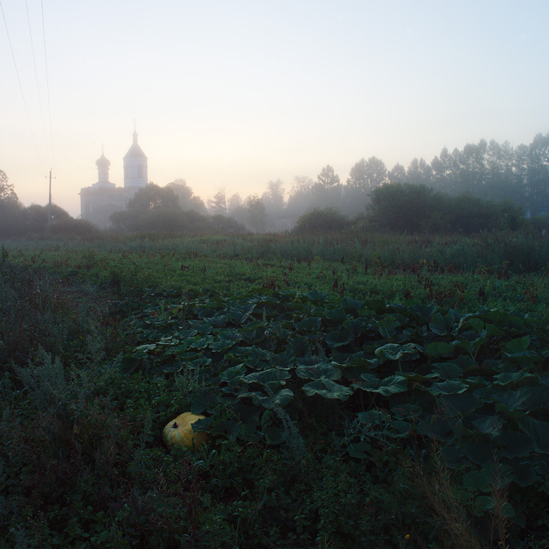  140824-33VV6336