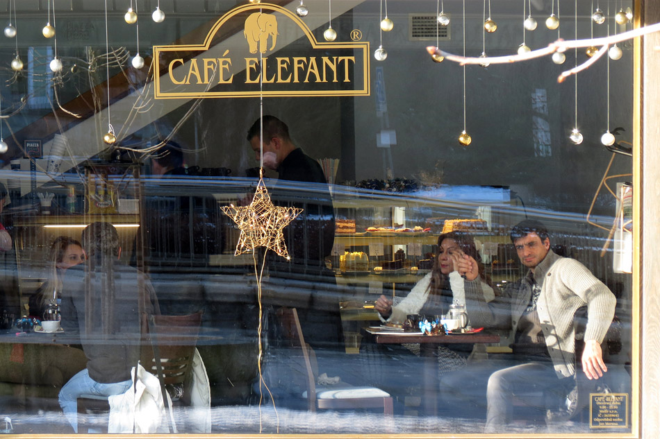   Elefant