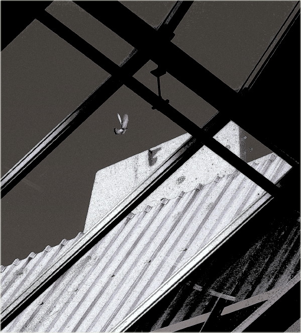 The Escape ...
