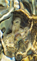  ***