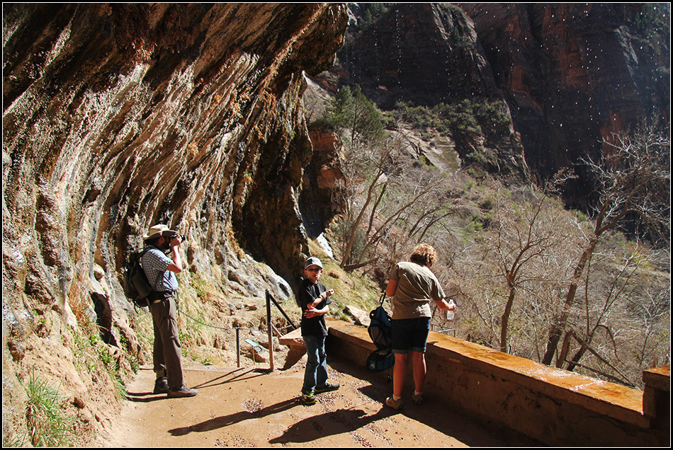 Zion NP 1