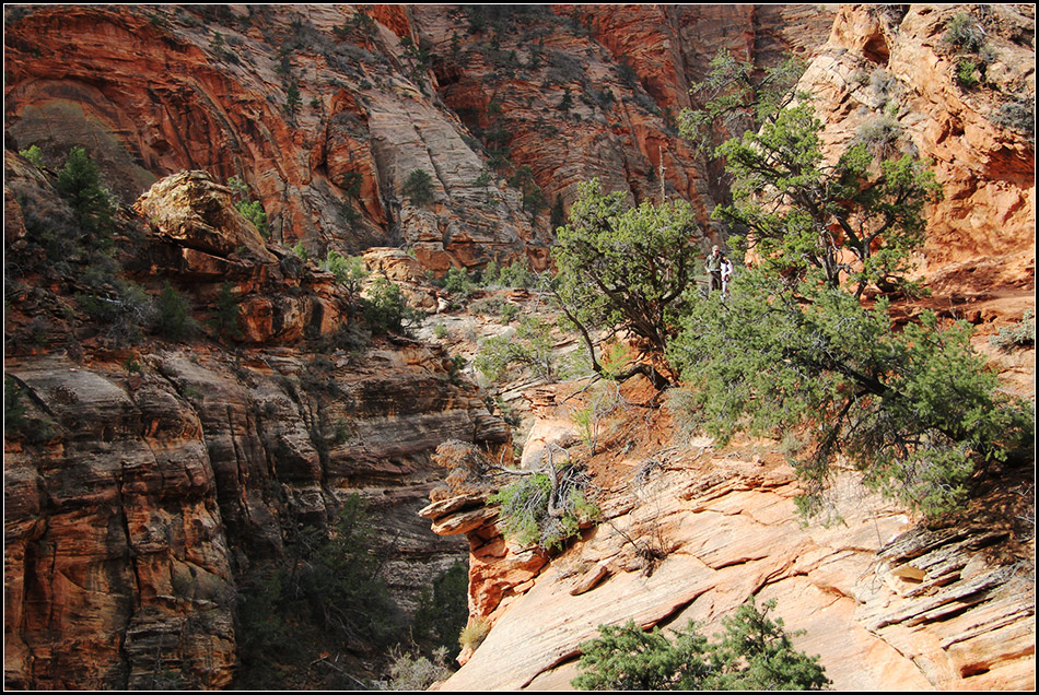  Zion NP 2