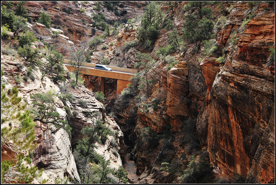  Zion NP 5