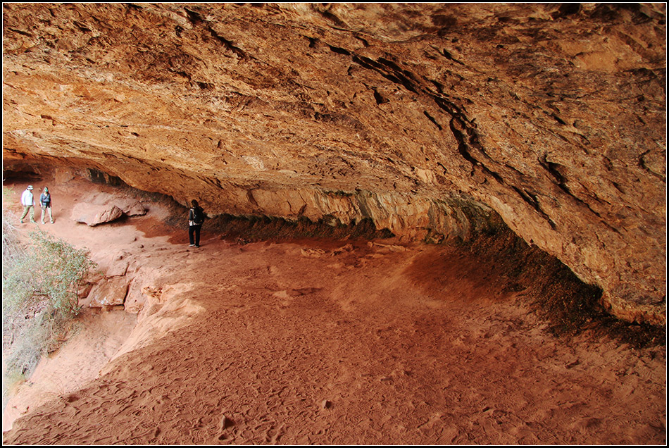  Zion NP 6
