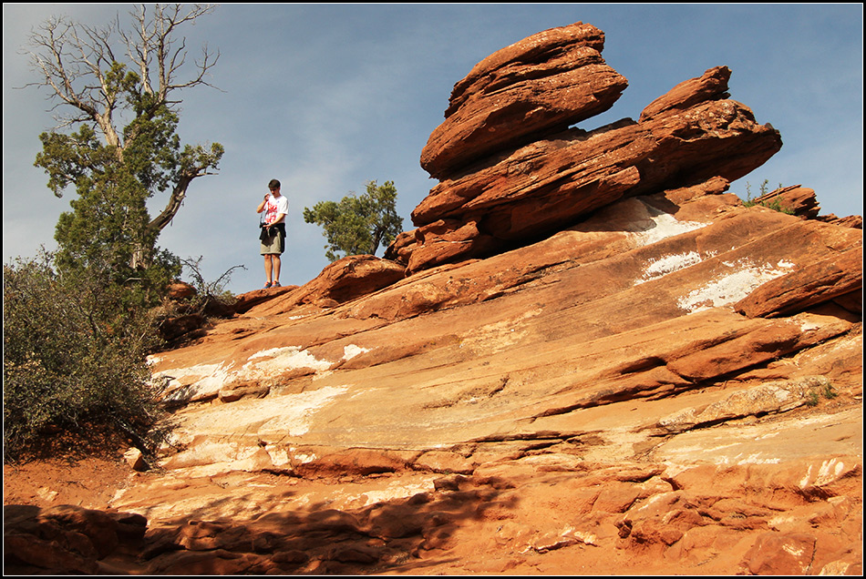  Zion NP 8