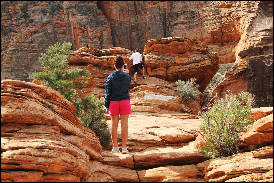  Zion NP 10