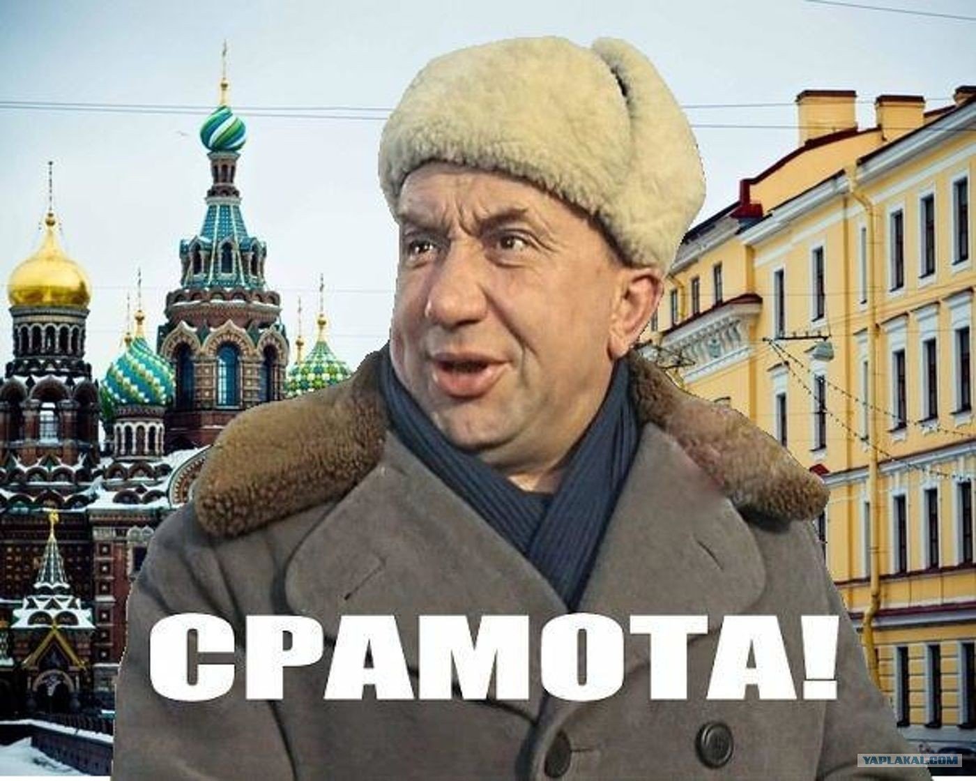  ***