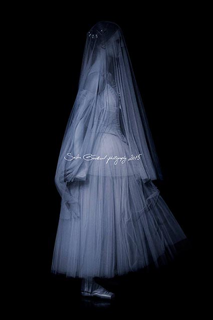 ���������� ****