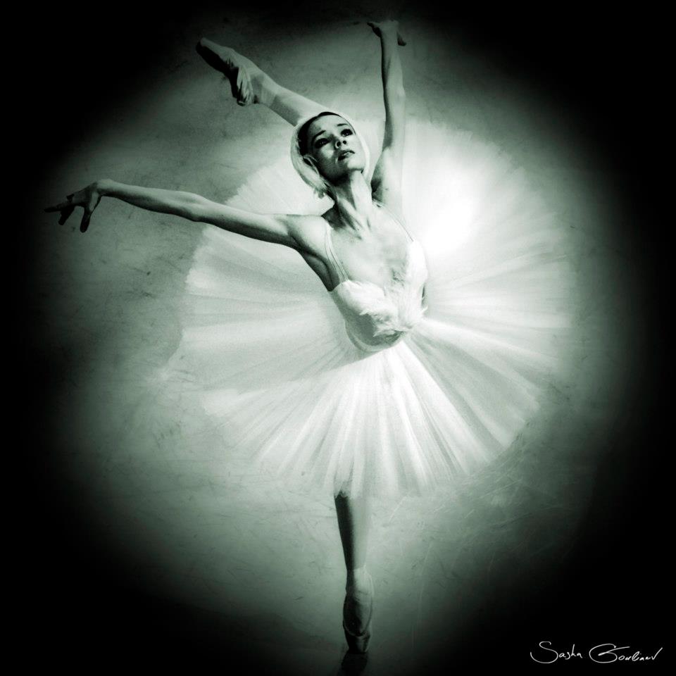 ���������� ****