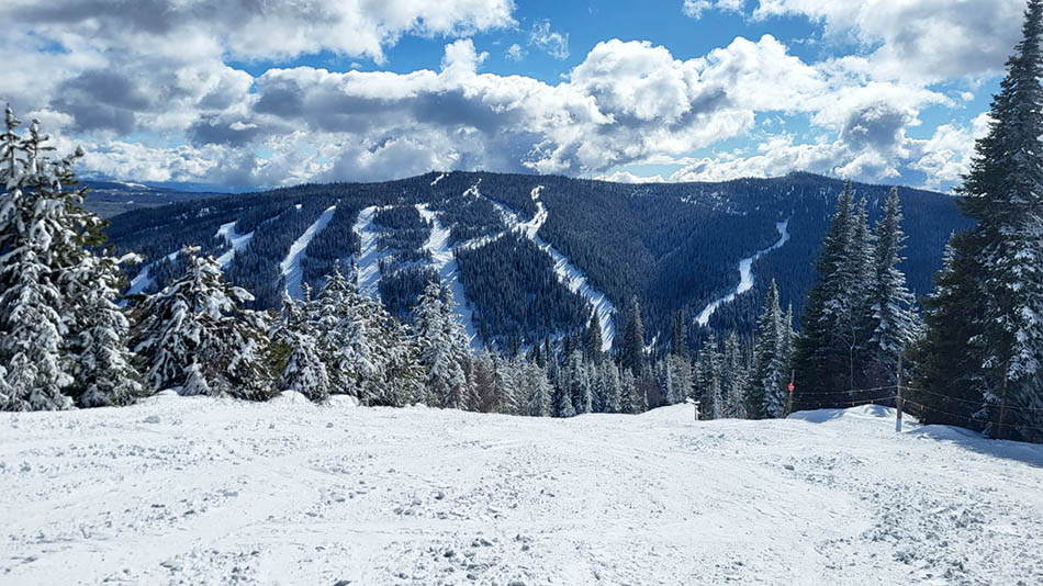 ���������� ��������