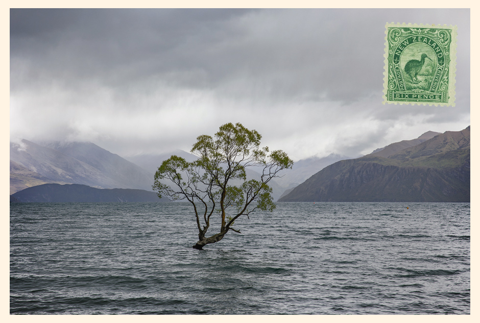 ���������� nz